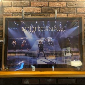 Original White Snake poster. 24x36